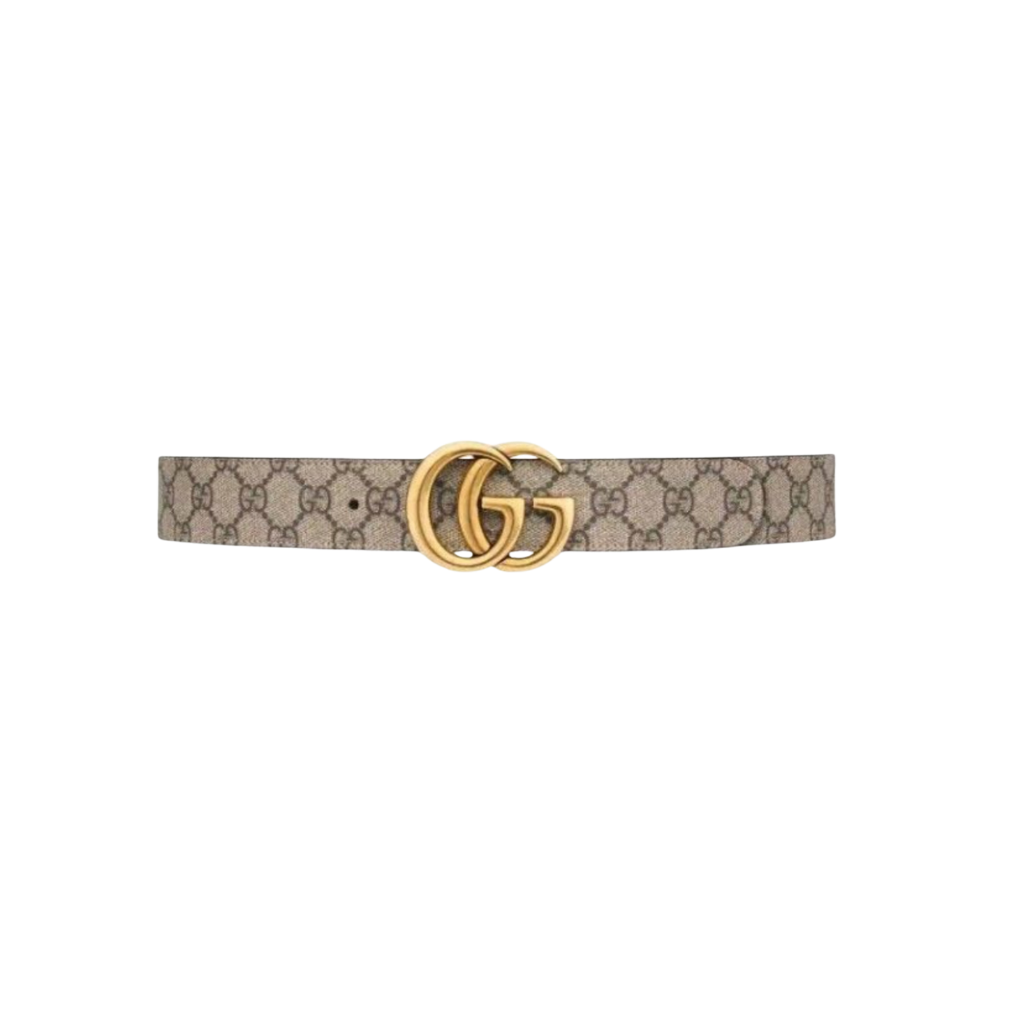 G x Plug® Black Belt
