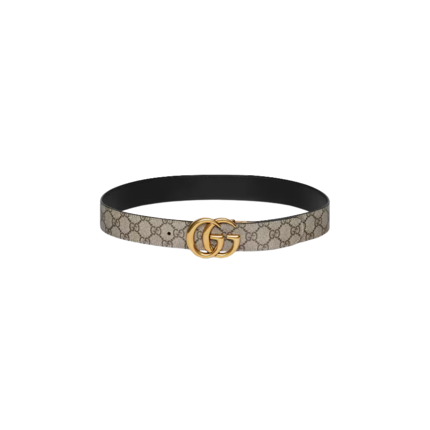 G x Plug® Belt