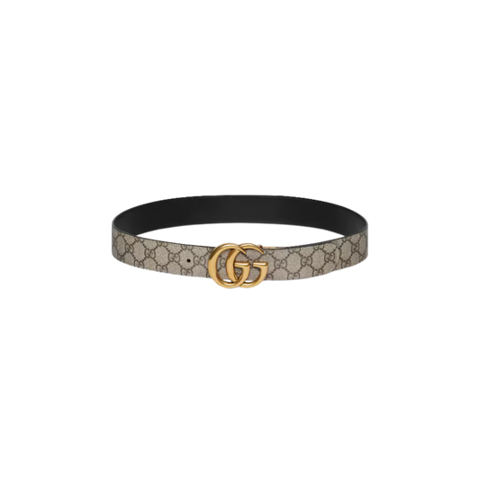 G x Plug® Belt
